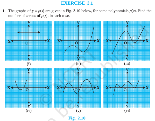 Class 10 Maths Chapter 2 Exercise 2.1 Questions by DV Coaching Centre